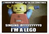I Throw My Hands Up In The Air Sometimes Saying Ayo