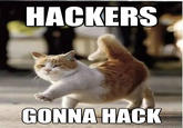 Hackers Gonna Hack