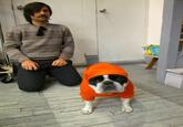 Jason Schwartzman is Having More Fun than You