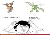 My Brain is Full of F**k