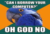 Paranoid Parrot