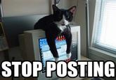 Stop Posting