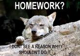 Ignorant to Adversity wolf