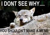 Ignorant to Adversity wolf