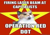 Lenin Cat