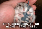 It's Dangerous to Go Alone! Take This