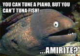 Bad Joke Eel