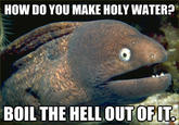 Bad Joke Eel