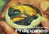 It's More Fun in the Philippines