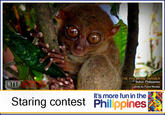 It's More Fun in the Philippines