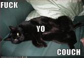 Fuck Yo Couch