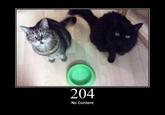 HTTP Status Cats
