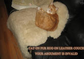Your Argument is Invalid