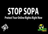 Protect IP Act / Stop Online Piracy Act