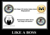 Operation Megaupload