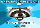 Lame Pun Coon