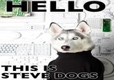 Yes, This is Dog