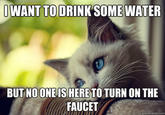 First World Problems Cat