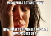 Operation Megaupload