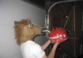 Horse Head Mask