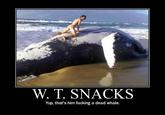 W. T. Snacks