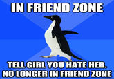 Socially Awkward Penguin