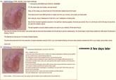 4chan