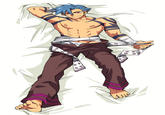 Dakimakura