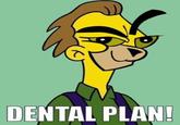 Dental Plan / Lisa Needs Braces