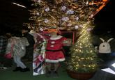 Christmas Cancellation Announcement