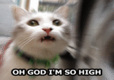 I'M SO FUCKING STONED