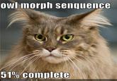 Morphing