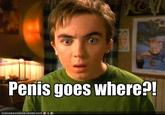 Penis Goes Where/Cock goes where