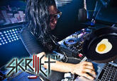 Cooking With Skrillex