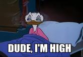 I'M SO FUCKING STONED