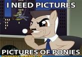 Ponify