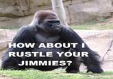 That Really Rustled My Jimmies