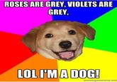 Facebook University Meme Pages
