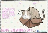 Maru the Cat