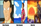 What I Watched / What I Expected / What I Got