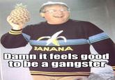 Damn It Feels Good To Be A Gangsta
