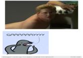 Homophobic Seal