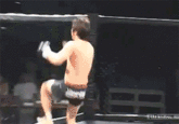 Mixed Martial Arts