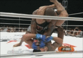 Mixed Martial Arts