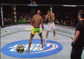 Mixed Martial Arts