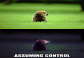 Assuming Control