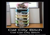 Rack City