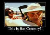 We Can't Stop Here, This is Bat Country