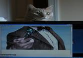 Forced Perspective
