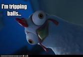 Tripping Balls
